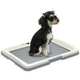 thumbnail image 1 of PawHut Pee Pad Holder, 25" x 19" Dog Potty Tray for Indoor Outdoor, Grey, 1 of 10
