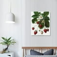 thumbnail image 4 of Nawypu Strawberry Art, French Botanical Print - Berry Red Wall Art, Vintage Fruit Kitchen Decor, Redoute Wild Strawberries Bouquet, 4 of 5