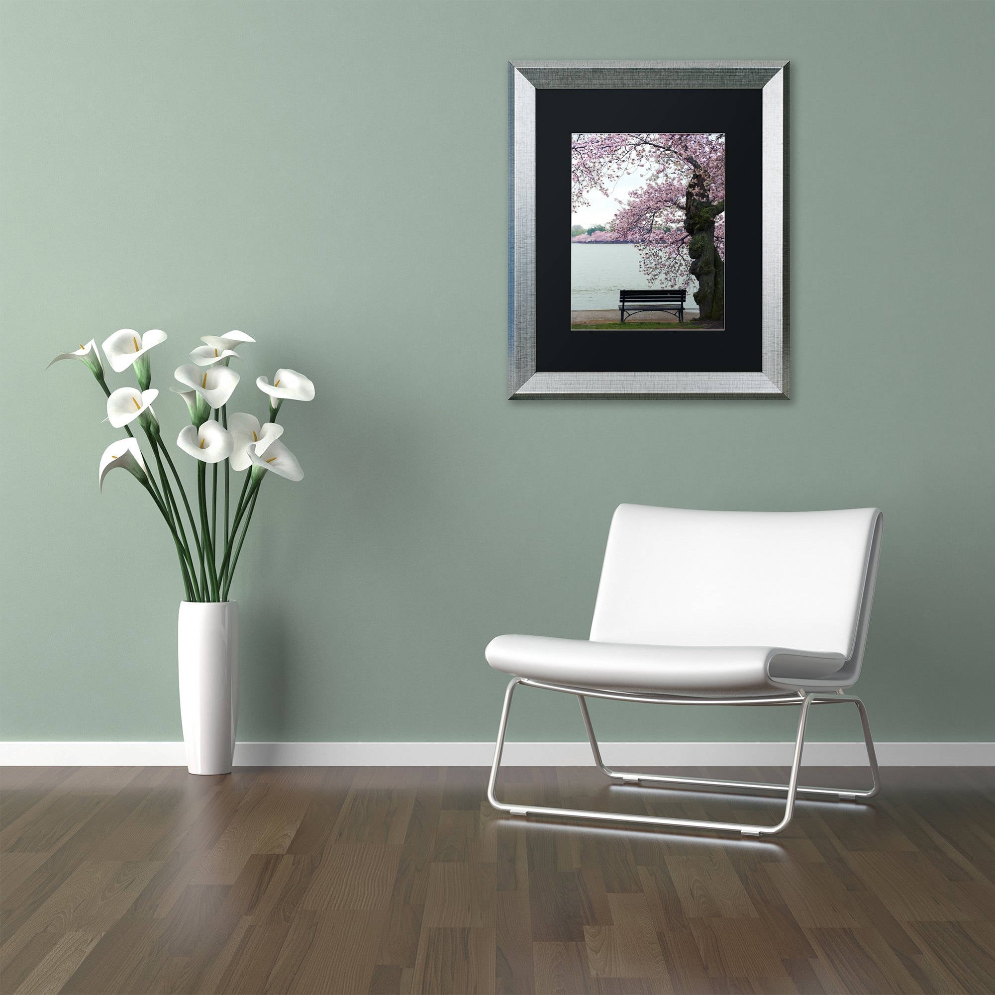 Trademark Fine Art "Tranquility" Canvas Art by CATeyes, Black Matte, Silver Frame