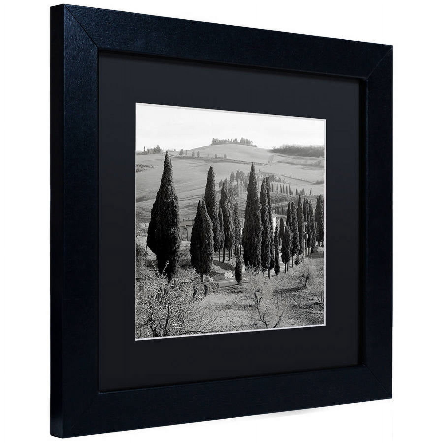Trademark Fine Art "Tuscany IV" Canvas Art by Alan Blaustein, Black Matte, Black Frame