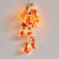 thumbnail image 1 of TIMIFIS String Lights Led Halloween String Lights Room Decoration Thanksgiving String Lights String Maple Light Bulb String Lights Halloween DecorationsFall, 1 of 6