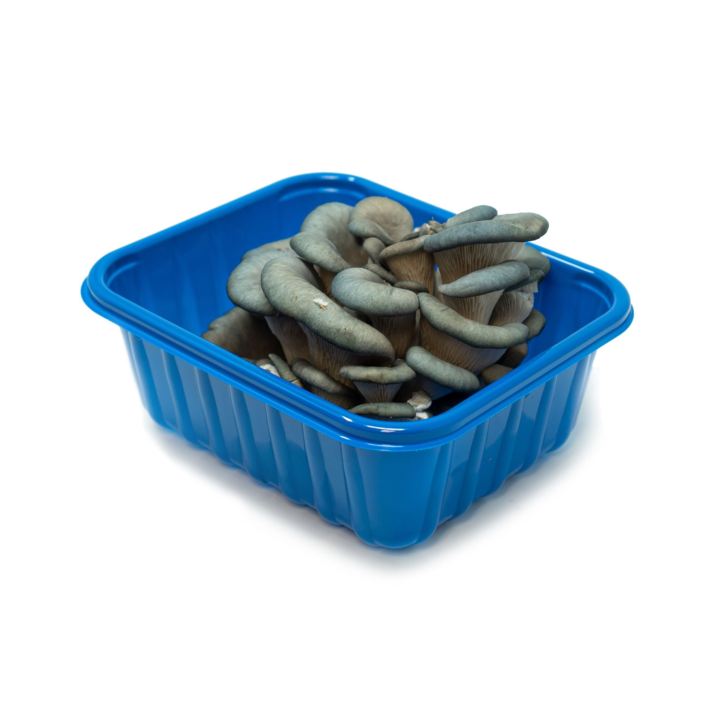 Oyester Mushrooms, 3.2 oz
