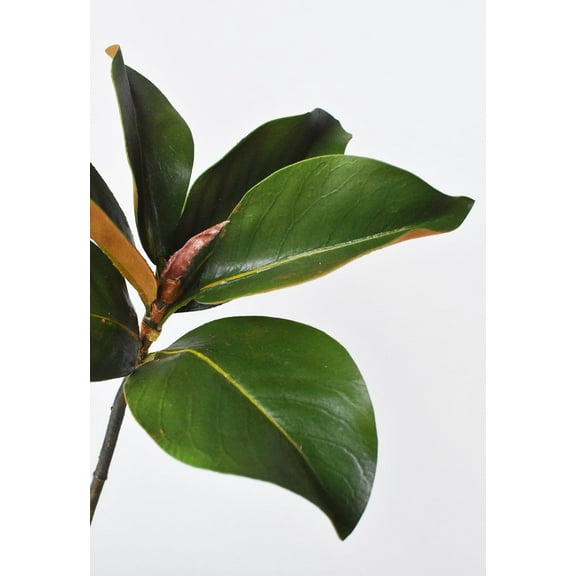 House by JSD 14" Faux Magnolia Leaf Stem Artificial Plants