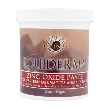 Equiderma Zinc Oxide Paste For Dermatitis & Sunbrn