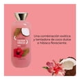 thumbnail image 4 of Body Wash y Baño de Burbujas Bodycology Coconut Hibiscus 473 ml, 4 of 4