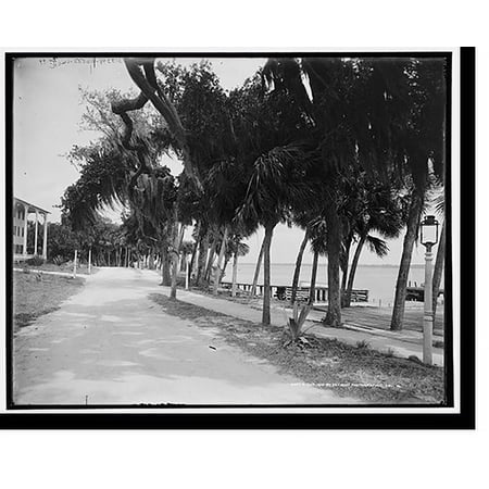 Historic Print, Plaza Hotel, Rockledge, Fla., 16" x 20"