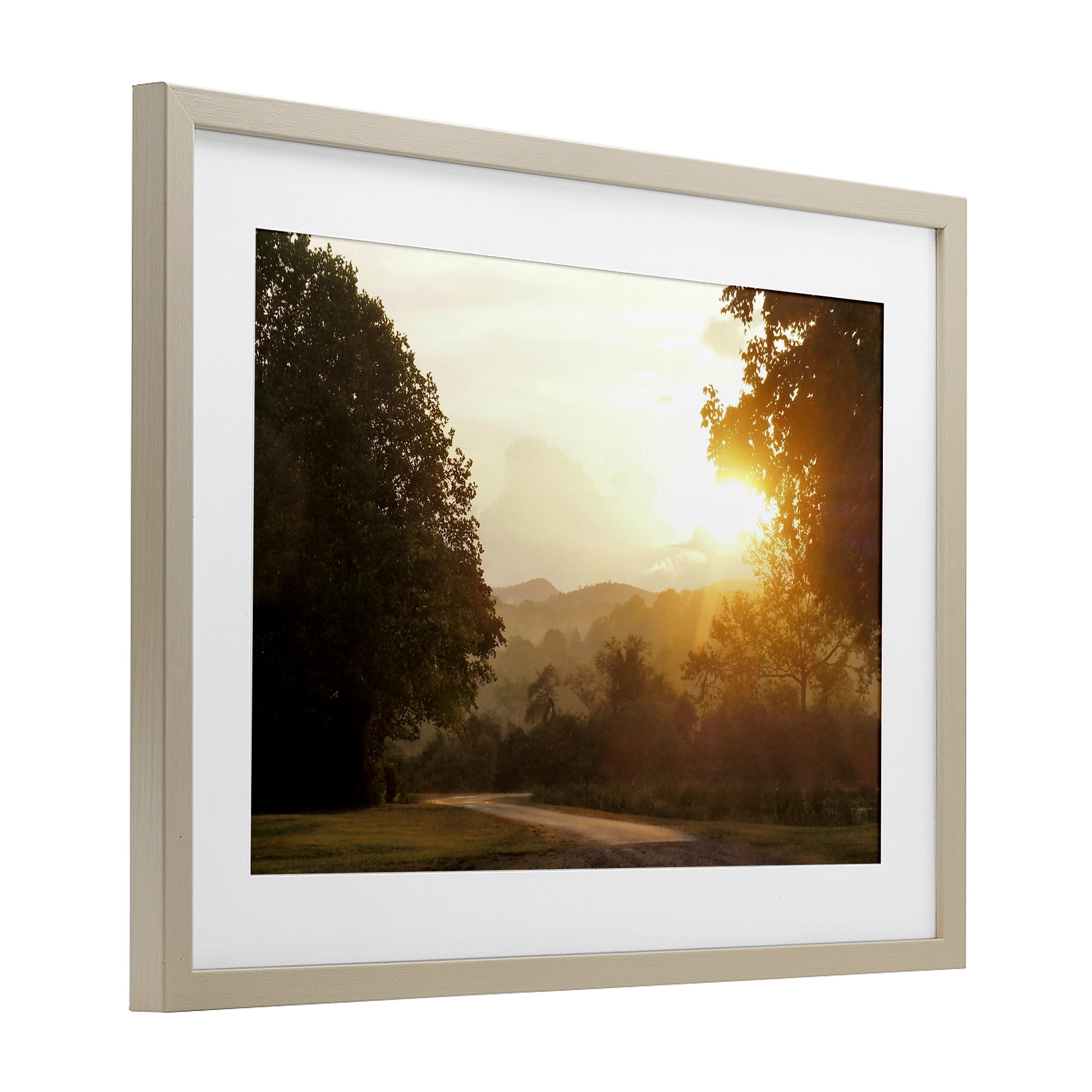 Stupell Industries Golden Morning Between Trees Birch Framed Print Under Glass, design by Gail Peck