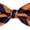 Orange Navy, variant on Stripe Woven Men's College Striped Pretied Bowtie - Gold Black