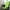 Green, variant on Openpig Chair Cushion, High Back Rocking Chair Cushion, Thickened Patio Chair Pad for Indoor and Outdoor, Water Proof and Fade-Resistant