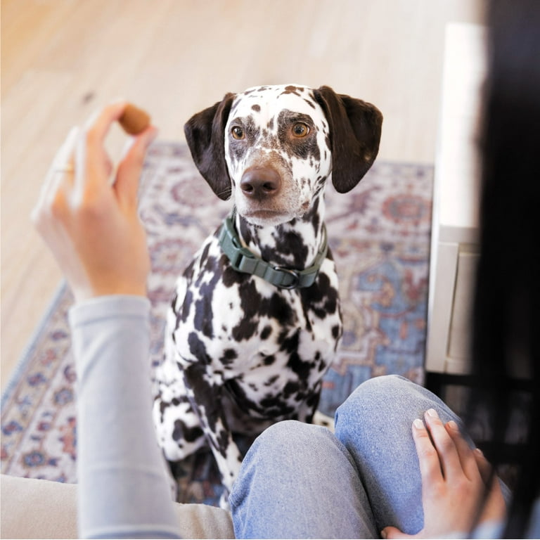 Pill pockets for dogs walmart sales