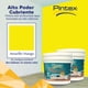thumbnail image 2 of PINTEX Kit Pinta-me 2 Galones Pintura Vinil-Acrílica 3.8 L c/u | Incluye Brocha, Rodillo, Felpas, Masking Tape y Plastiprotector | Acabado Mate | Interiores y Exteriores | Amarillo Mango, 2 of 5