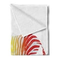 thumbnail image 2 of Funny Soft Flannel Fleece Throw Blanket, Zebra in Gradient Rainbow Colored Stripes Nature Wilderness Zoo Animal Theme, Cozy Plush for Indoor and Outdoor Use, 50" x 70", Multicolor, by Ambesonne, 2 of 5