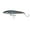 Black Silver, variant on Hogy Charter Grade Slider Top Water Plug