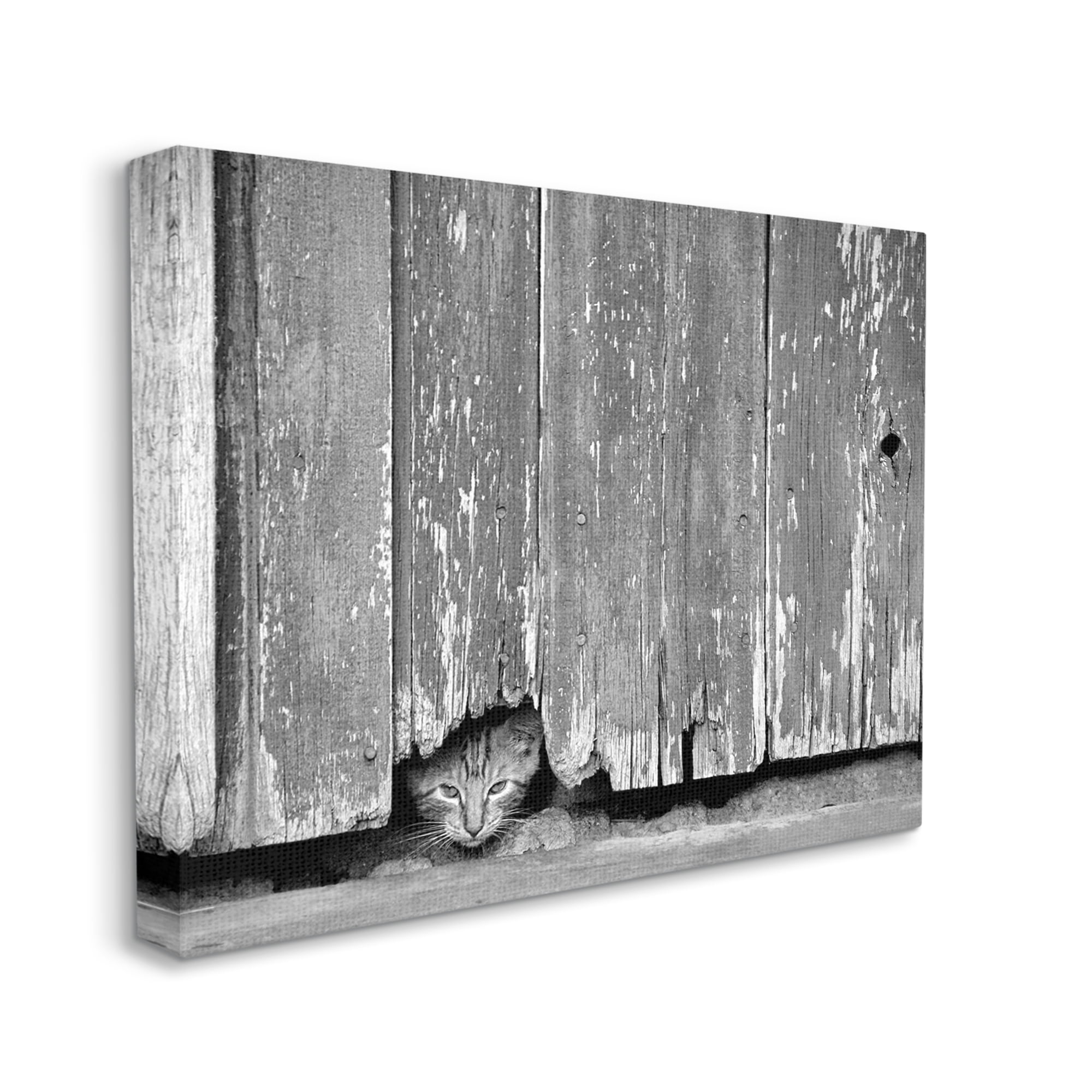 Stupell Industries Rustic Cat Peeking Animals & Insects Photography Gallery Wrapped Canvas Art Print Wall Art, 20 x 16