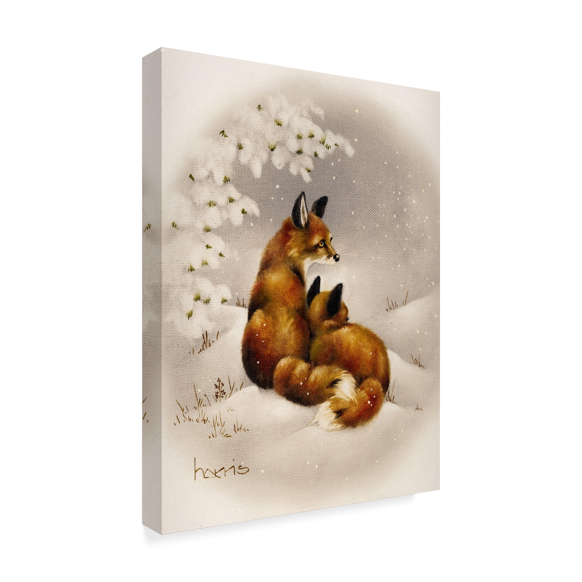 Trademark Fine Art 'Forever Foxes' Canvas Art by Peggy Harris