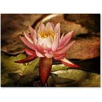 Trademark Fine Art "Magic Lily" Canvas Art by Lois Bryan