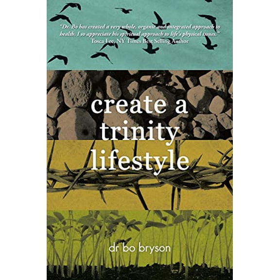Pre-Owned Create a Trinity Lifestyle, 9781449799953, 1449799957, Paperback, Illustrated edition