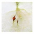 thumbnail image 3 of Manzana Granny Smith Marketside en bolsa 907 g, 3 of 3