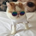 thumbnail image 2 of Pet glasses, cat sunglasses, UV protection glasses for pets, trendy cool accessories, F9I8, 2 of 9