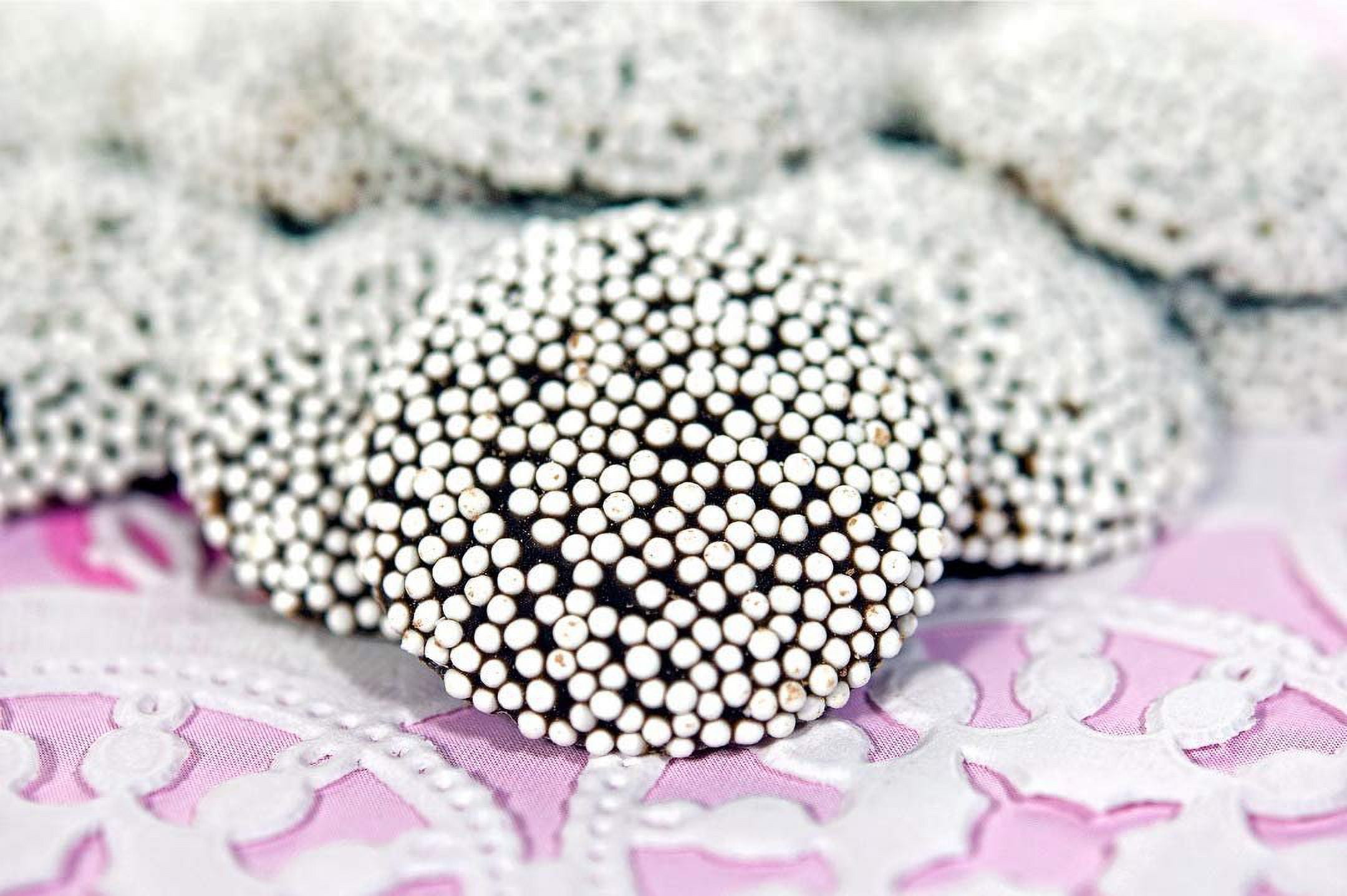 Chocolate White Nonpareils by Its Delish 10 lbs
