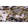 thumbnail image 3 of Gamers Grass Winter 5mm Wild Tufts, 3 of 3