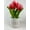 Red, variant on Valentine Ceramic Potted Tulip Display