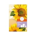 thumbnail image 3 of Sally Hansen All-over Body Wax Hair Removing Wax Kit, Salon Results, Long Lasting, 3 of 6