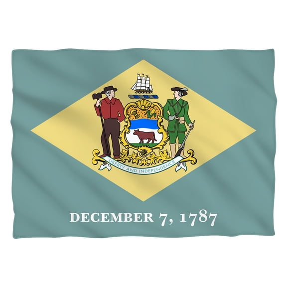 Delaware Flag Pillow Case