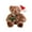 C, variant on Christmas Teddy Bear Doll – Cute Plush Holiday Bear with Santa Hat – Soft Stuffed Animal for Kids Gift, Bedroom or Sofa Decoration
