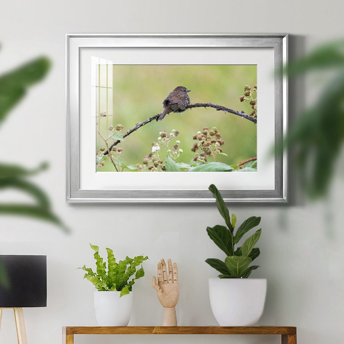 Resting Sparrow Premium Framed Print - Ready to Hang
