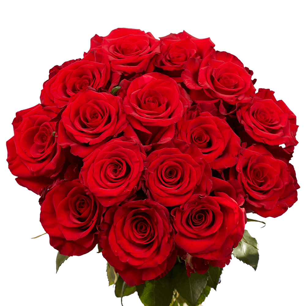 50 Stems of Red Paris Roses Fresh Flower Delivery