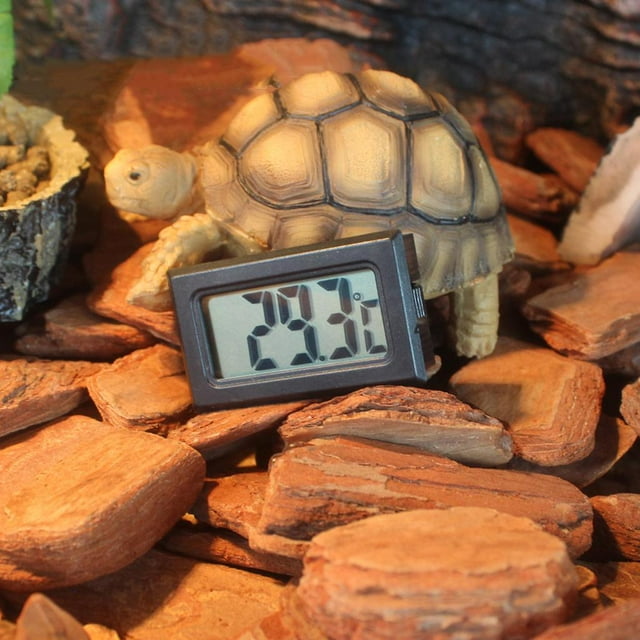 Medidor De Temperatura De De De La Serpiente Del Del Termómetro Del Digital, Indicador Del Dragón Beared Yinane Termómetro de reptil