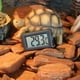 thumbnail image 1 of Medidor De Temperatura De De De La Serpiente Del Del Termómetro Del Digital, Indicador Del Dragón Beared Yinane Termómetro de reptil, 1 of 8