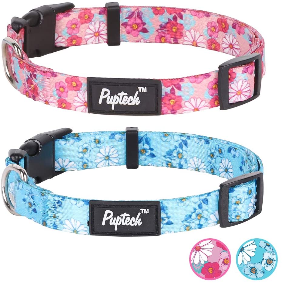 Cute collars for small dogs Clearance