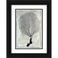 thumbnail image 1 of Murdock, Ramona 17x24 Black Ornate Wood Framed with Double Matting Museum Art Print Titled - Soft Coral, 1 of 4