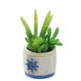 thumbnail image 1 of Simulación de bonsais suculentos, adornos creativos, flores artificiales, flores de plástico, suculentas, 1 of 5
