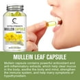 thumbnail image 3 of Greenpeople Mullein Leaf 1000mg, Support Respiratory System Health, Lung Cleansing and Detoxification, 120 Capsules, 3 of 6