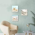 thumbnail image 4 of Beach Canvas Wall Art Picture: Seashell and Starfish on Soft Sandybeach Painting Artwork for Home Decor (12" W x 12" H x 3 PCS, Multi-Style), 4 of 6