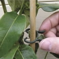 thumbnail image 2 of Greenne 50Pcs Jardin Anneau Cravate Clips Kit Plante Support Fleurs Jardinage, 2 of 9