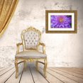 thumbnail image 3 of Gulin, Sylvia 14x10 Gold Ornate Wood Framed with Double Matting Museum Art Print Titled - Oregon-Salem close-up of purple blooming Clematis flower, 3 of 4