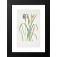 thumbnail image 2 of William Rickatson Dykes 13x18 Black Modern Framed Museum Art Print Titled - Iris Clarkei (1913), 2 of 5
