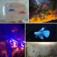 thumbnail image 2 of Aquarium Fish Tank Artificial Fake Floating Fish Pet Decor Random Style, 2 of 4