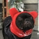 thumbnail image 4 of Gorro Cálido con Capucha para Perro, Gorro de Invierno para Mascota, Gorro Ajustable de Lana con Capucha para Orejas., 4 of 5