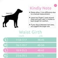 thumbnail image 2 of Washable Female Dog Diapers,Highly Absorbent Girl Puppy Nappies Doggie Period Diapers, Reusable Panties Dresses for Female Dogs in Heat, Incontinence or Excitable Urination, 2 of 5