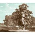 thumbnail image 2 of Kennion, Edward 23x20 Gold Ornate Wood Framed with Double Matting Museum Art Print Titled - Serene Trees II, 2 of 4