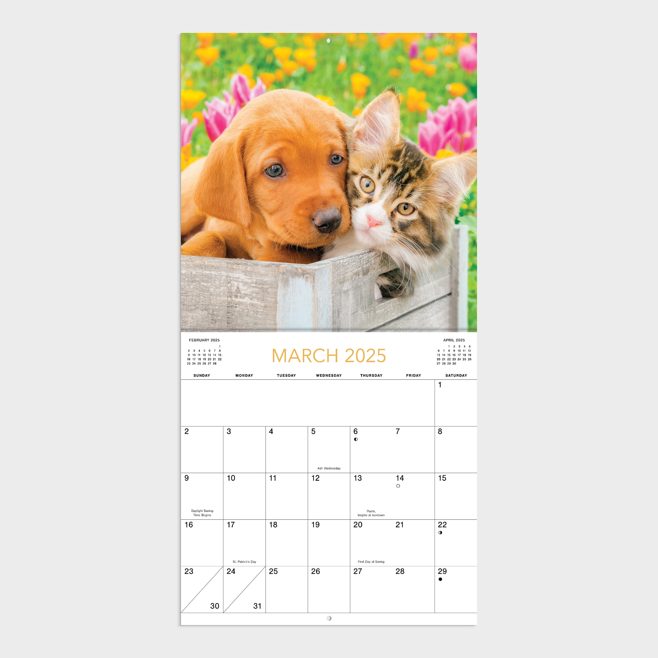 2025-12 Month Hanging Wall Calendar-Buddies -12x12 by Dayspring