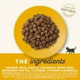 Complete Dry Kitten Food, Grain Free, Limited Ingredient Food for