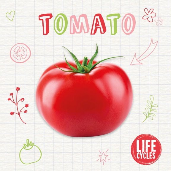Life Cycles Tomato, (Paperback)