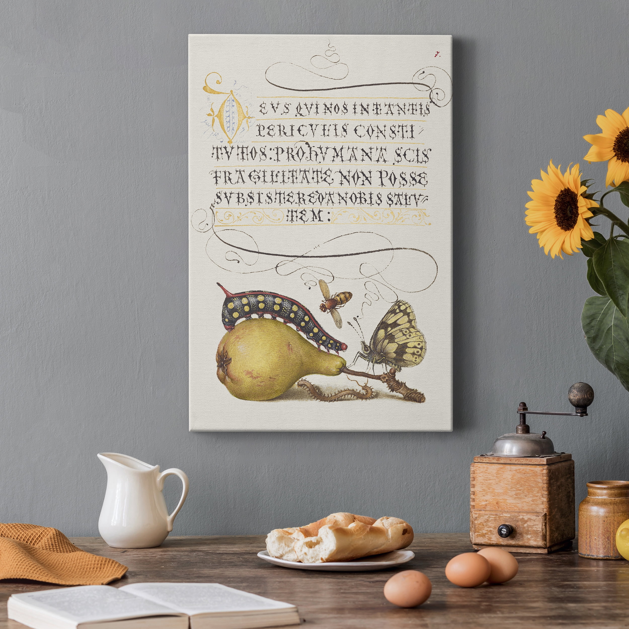 Fly, Caterpillar, Pear, and Centipede Premium Gallery Wrapped Canvas - Ready to Hang - 40 x 60