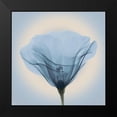 thumbnail image 2 of Anonymous 15x15 Black Modern Framed Museum Art Print Titled - Poppy in Lace, Blue, 2 of 5